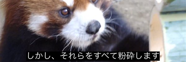 sdw_sdw2nd Profile Banner