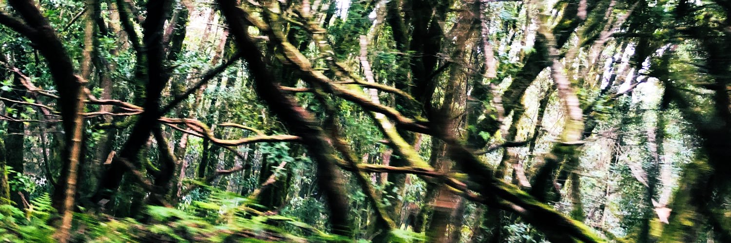 BertoldiCami's profile banner image