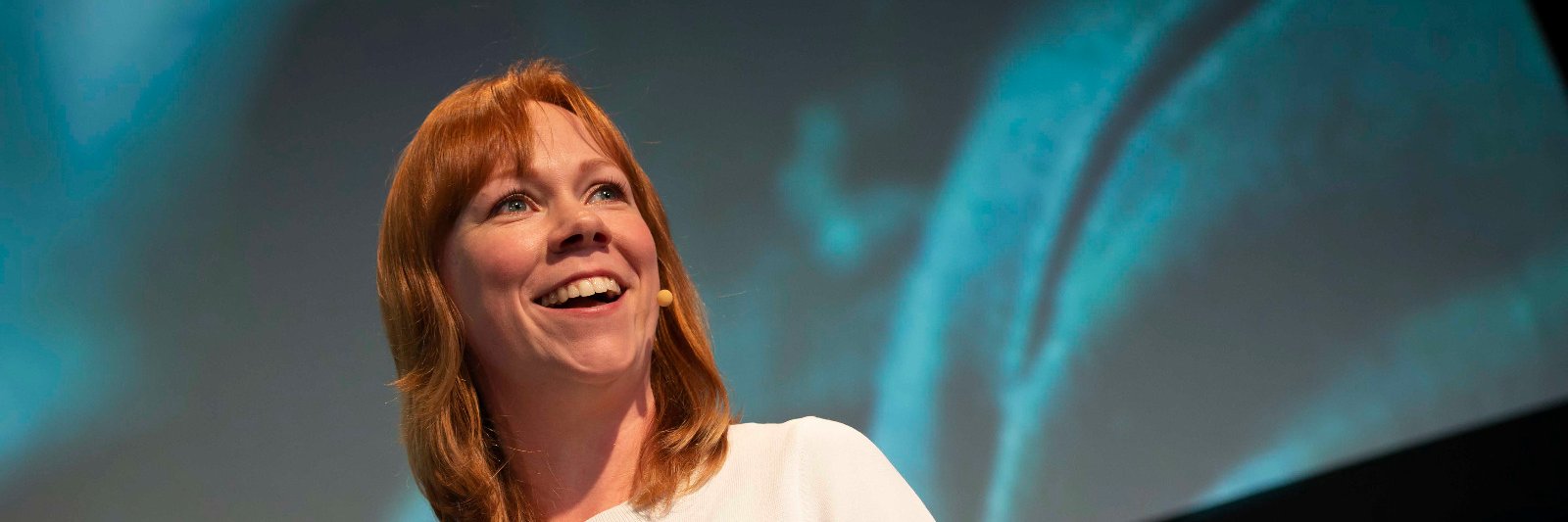 Amy Harrison banner