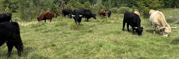 cattlemanON Profile Banner