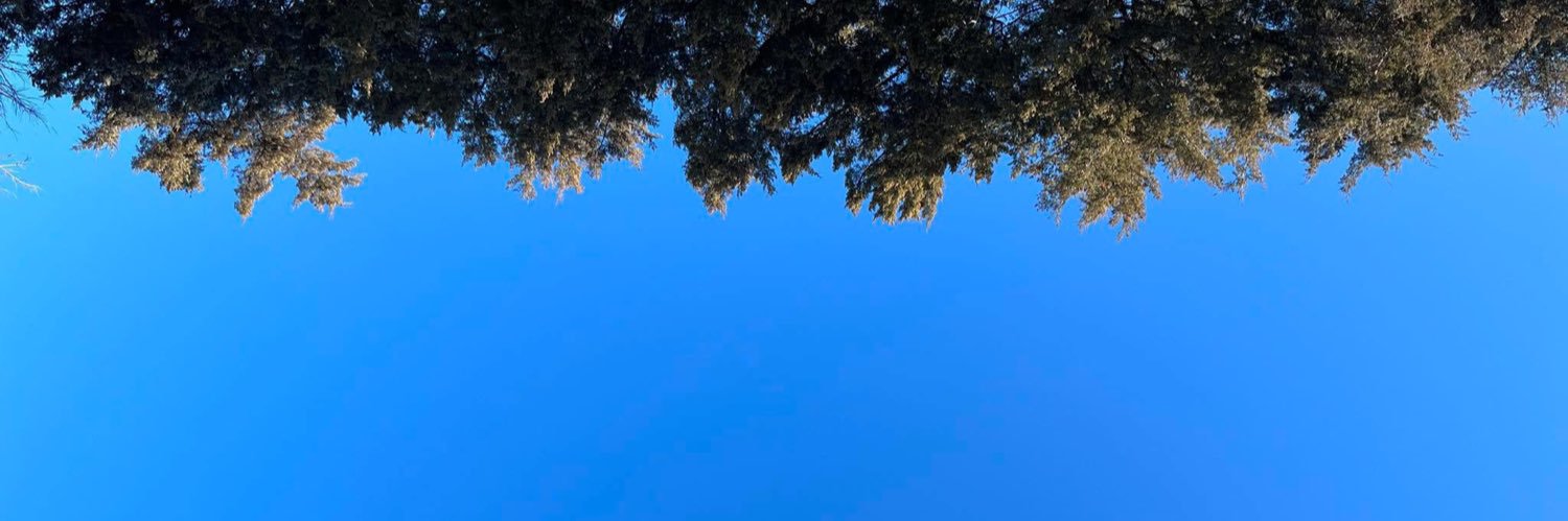 eliceredfern's profile banner image