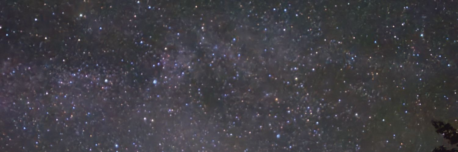 Hyloplesion banner