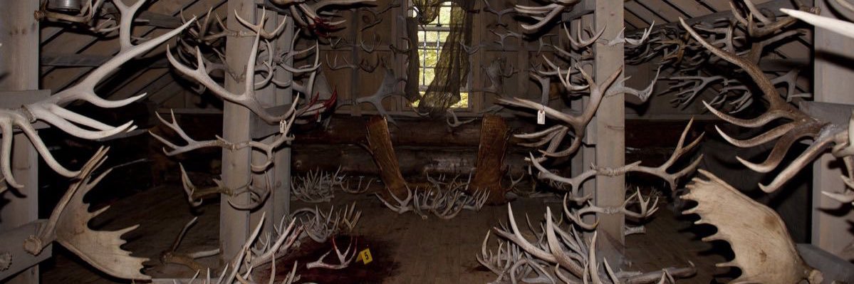🦌emmy's banner