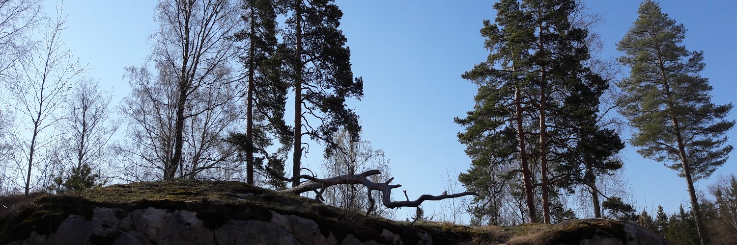 NelaFi's profile banner image