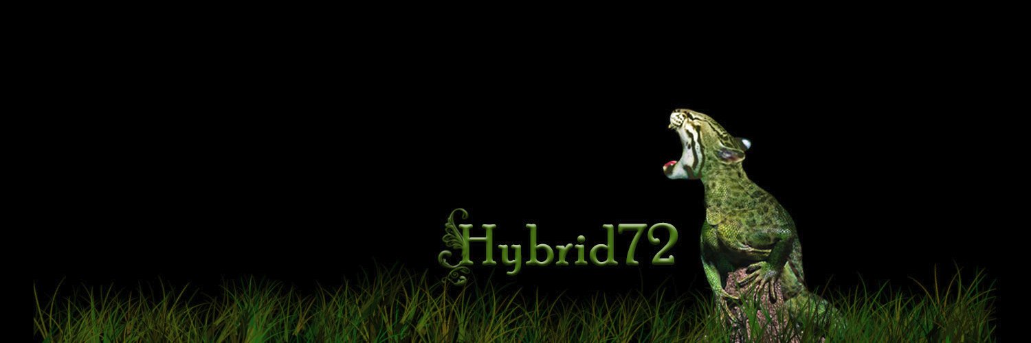 La Hybrid🍉🇲🇽🇨🇺⚠️ banner