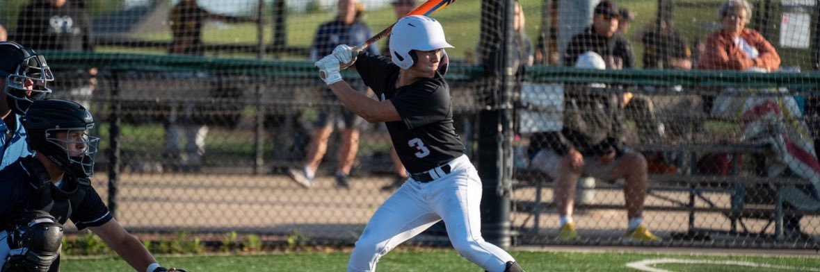 Dom Nellessen banner