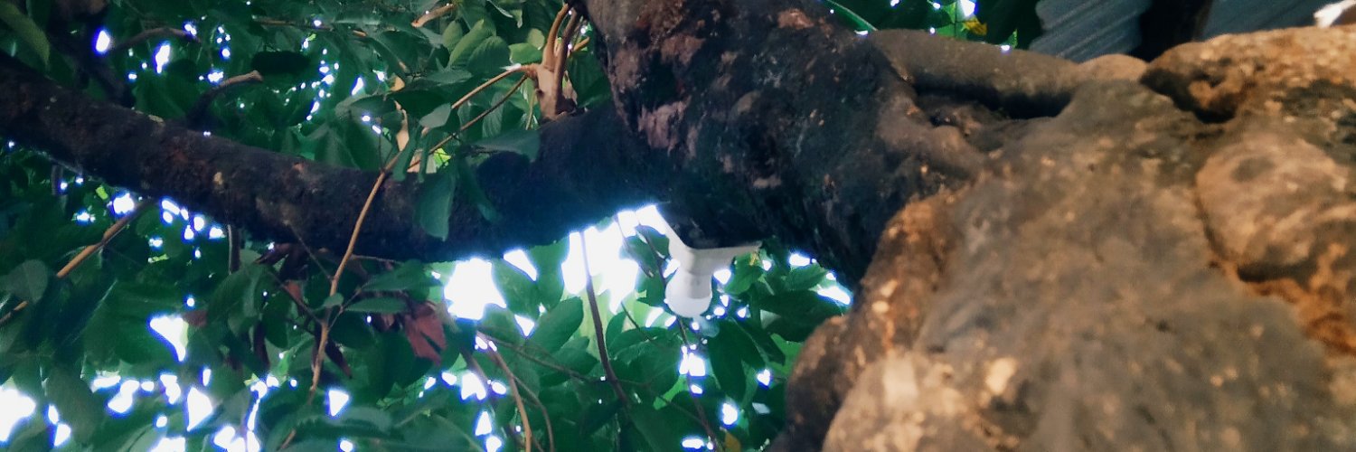 SilumanSupraRed's profile banner image
