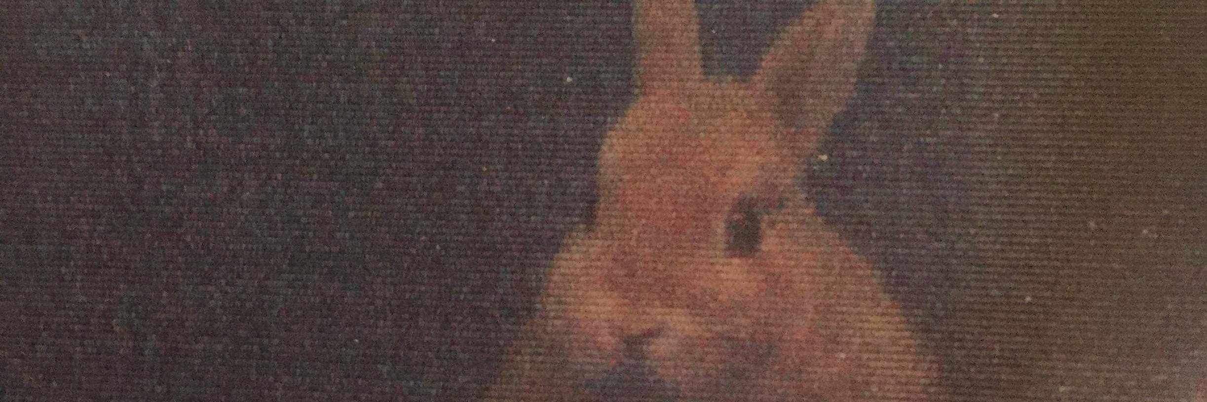 anidlekate's profile banner image