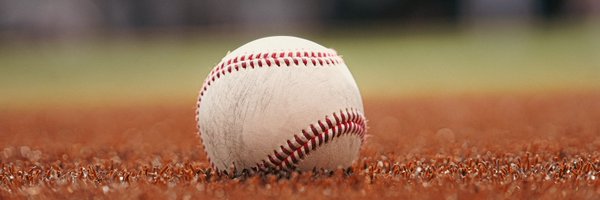 BHSDiamondDawgs Profile Banner