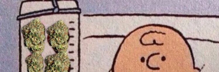 Moe_Bonkers's profile banner image
