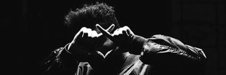 Andra Sucilea banner