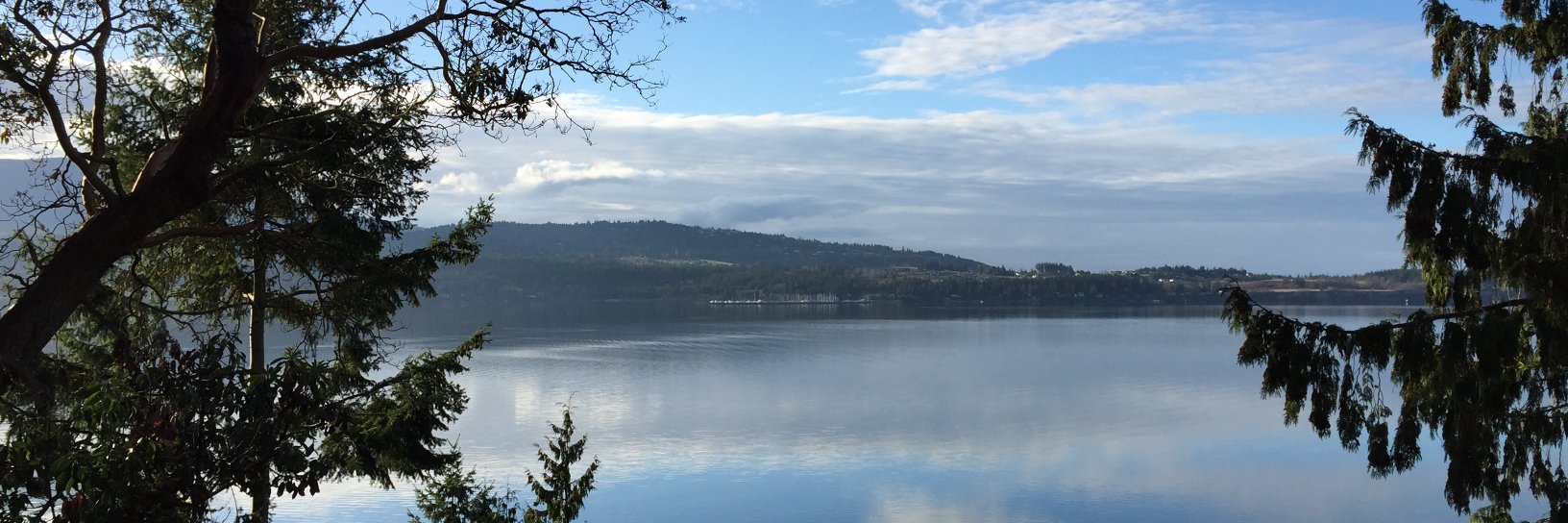 Sequim's profile banner image