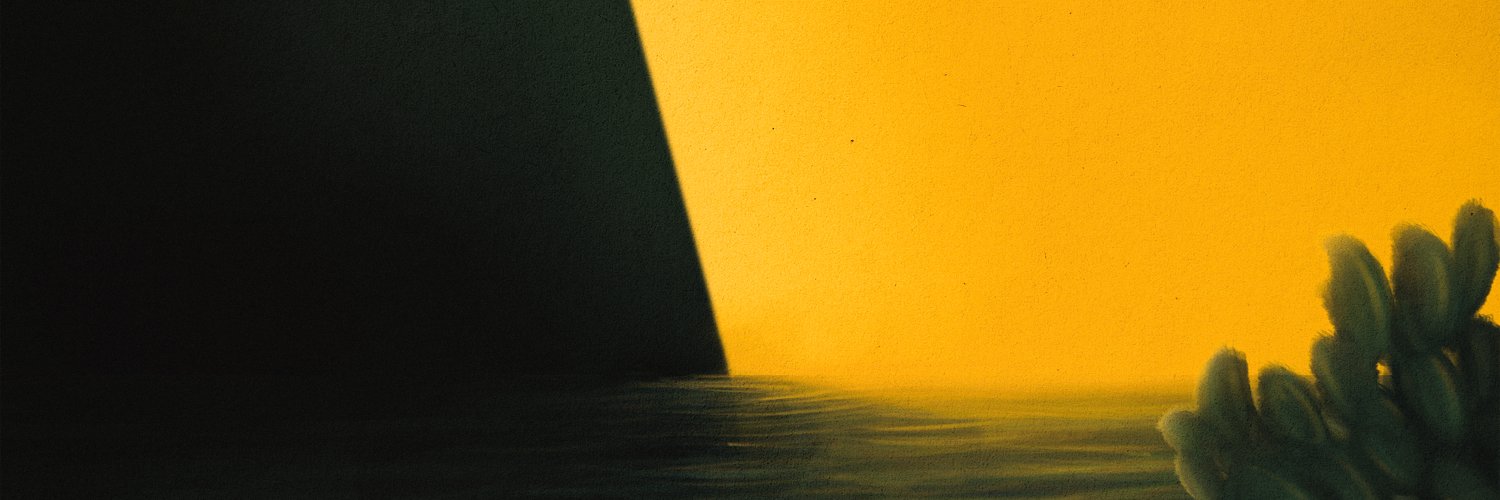eceromerr's profile banner image