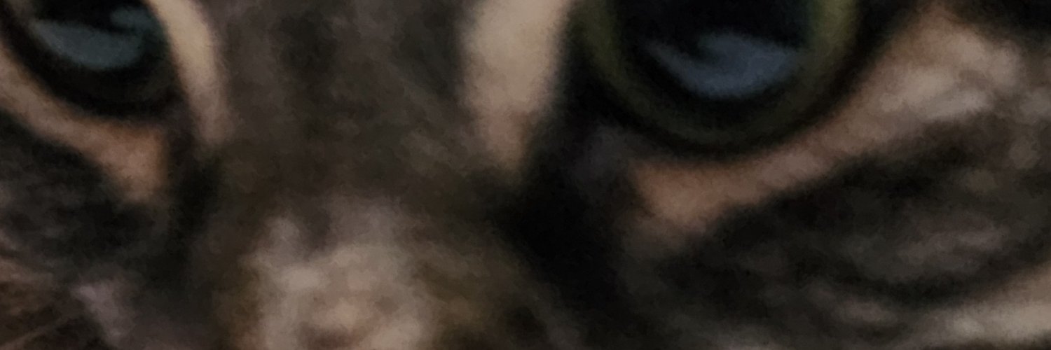 ConnorBour24352's profile banner image