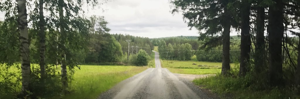 Bert Van Wassenhove banner