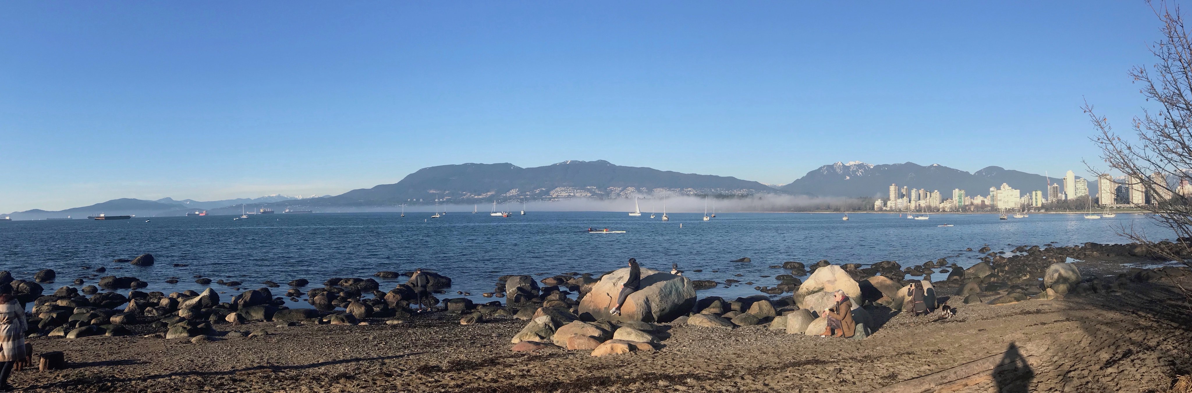 Jason Brough 🙁 banner