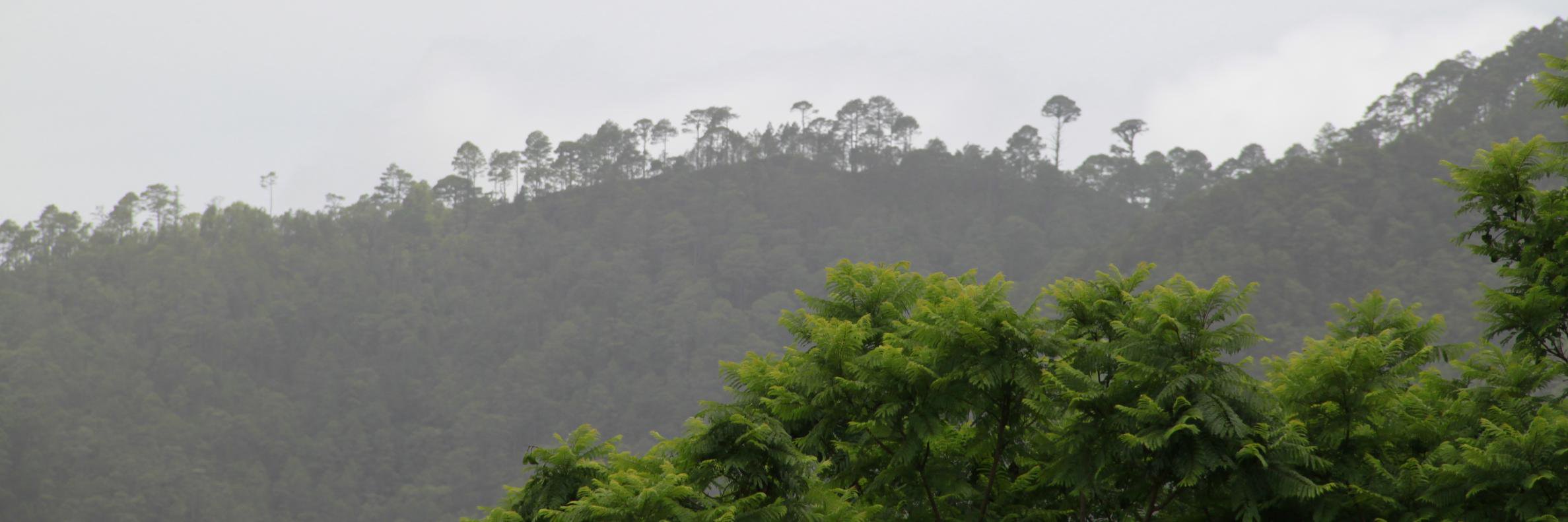 niccorbett's profile banner image