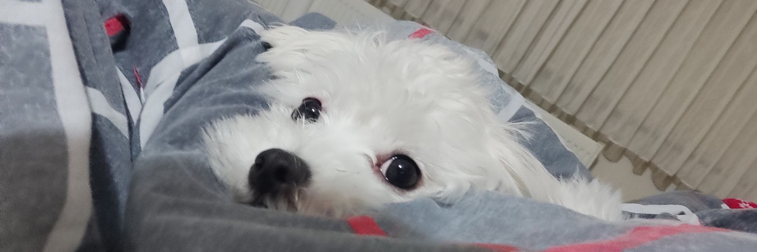 BesteCansin's profile banner image