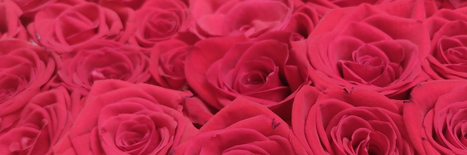 _arianastp's profile banner image