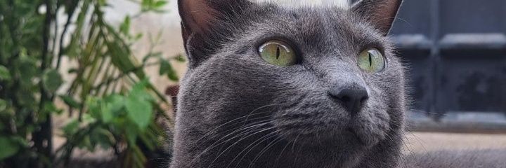 Joza47's profile banner image