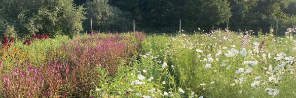 generousfarm Profile Banner