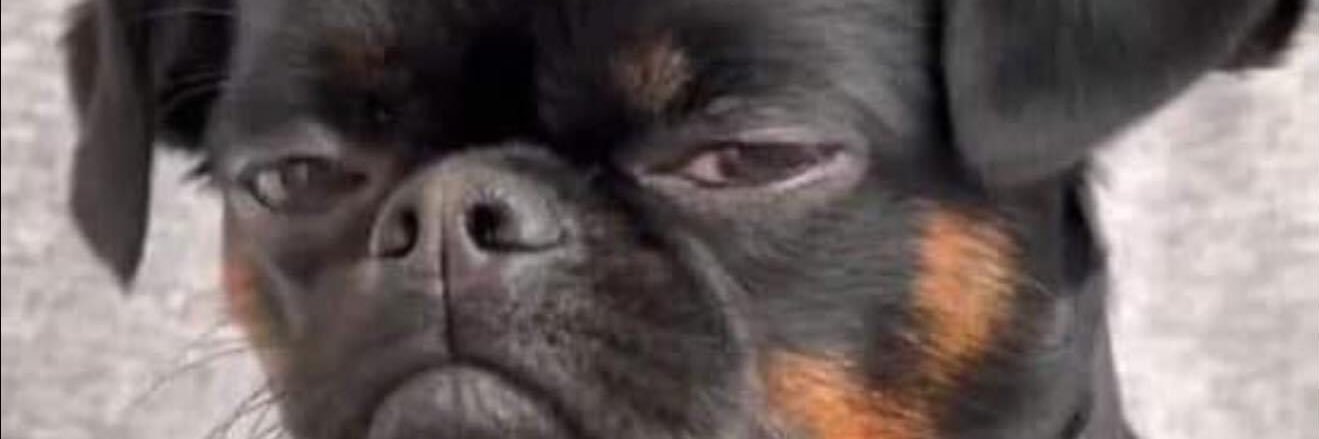 Gayn banner