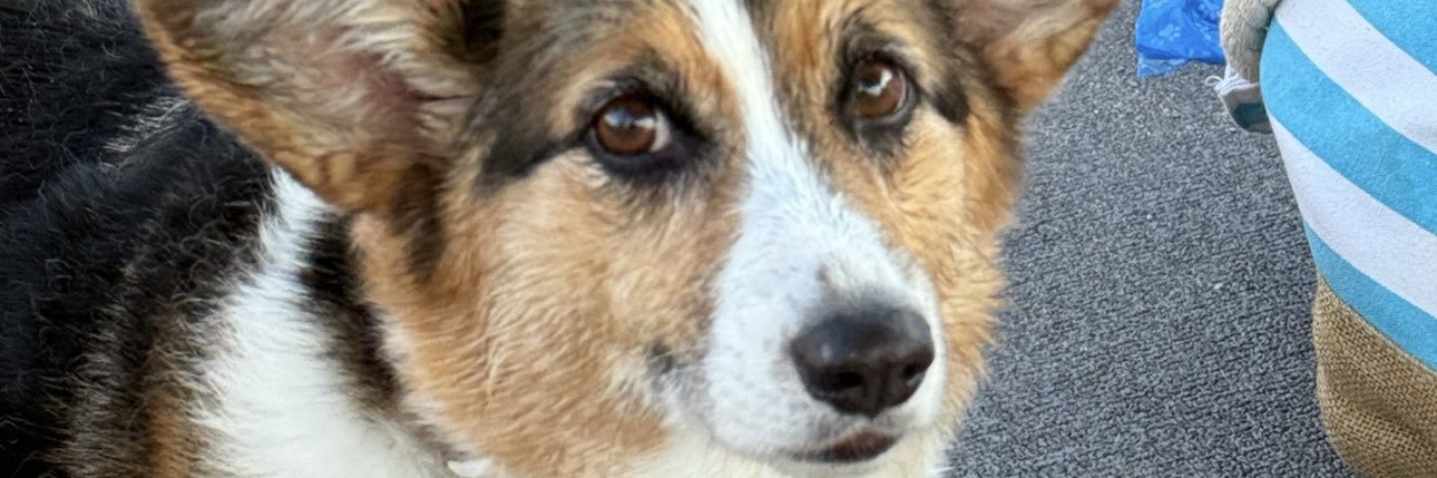 MakingMaineRedAgain banner