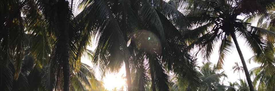 GertZomer's profile banner image