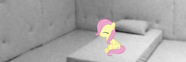 travestidemonio's profile banner image