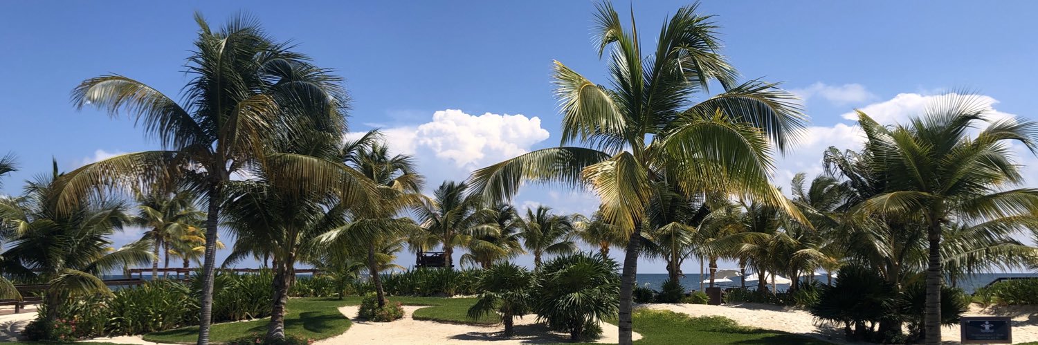 Darren Ritchie MSc ASCC banner