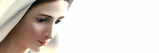_MDAC's profile banner image
