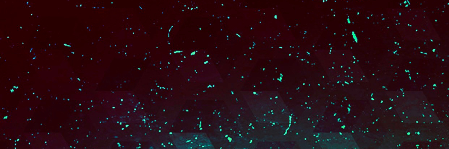 jmsmrgn's profile banner image