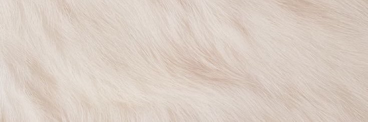 e banner