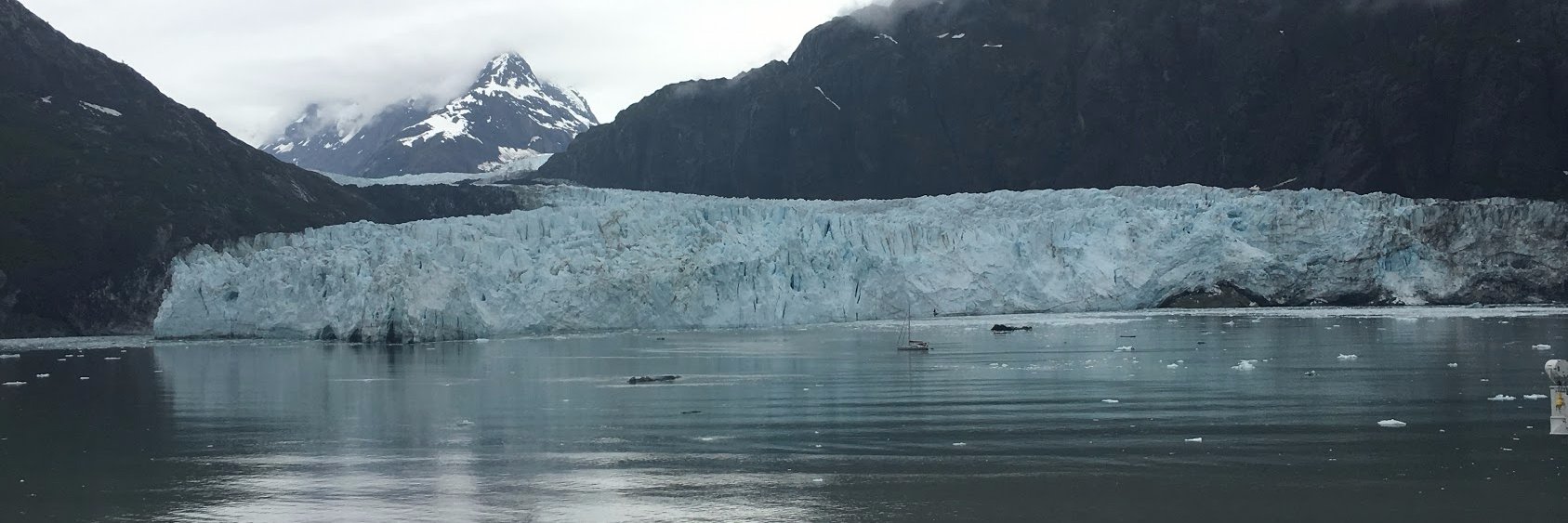 Pradheep Sampath banner