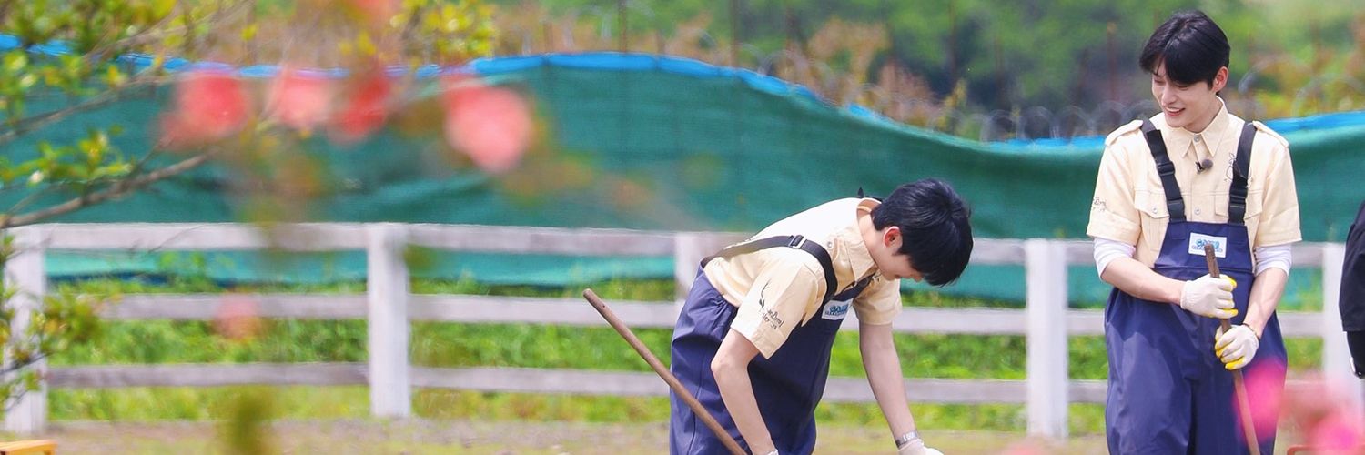 PeachWinkles's profile banner image