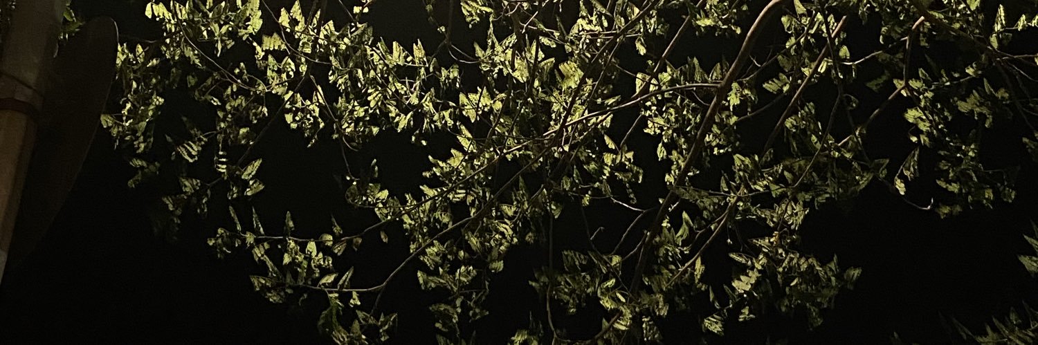 chillllhere's profile banner image