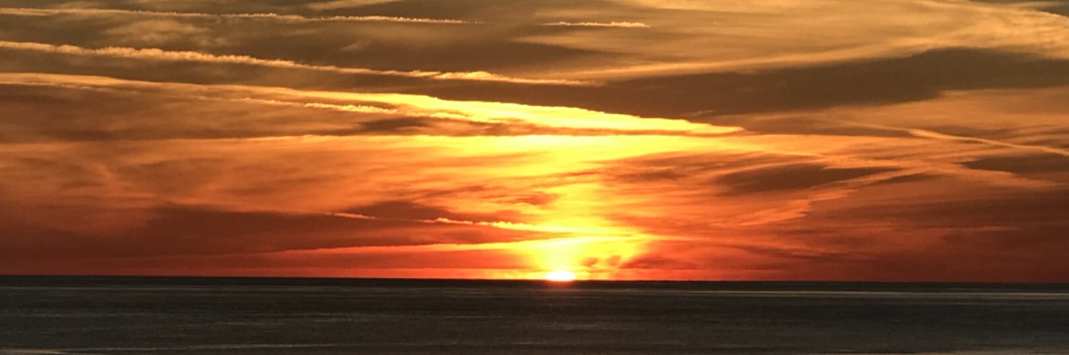 ScottNicho55972's profile banner image