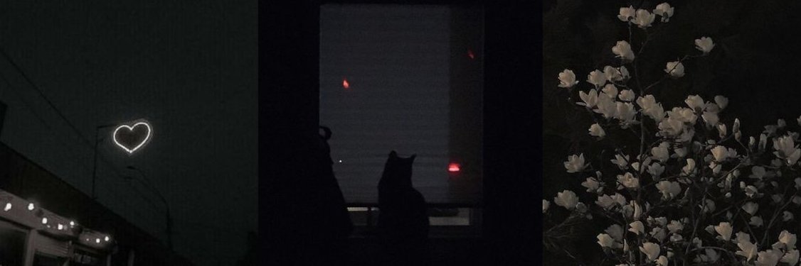 x - 𝚔𝚊𝚢𝚕𝚎𝚎 ✿ banner