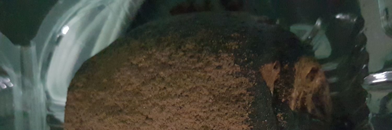 blablamama123's profile banner image