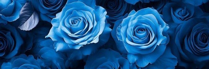 🃏♠ɢᴏᴛᴇɴ♠🃏 banner