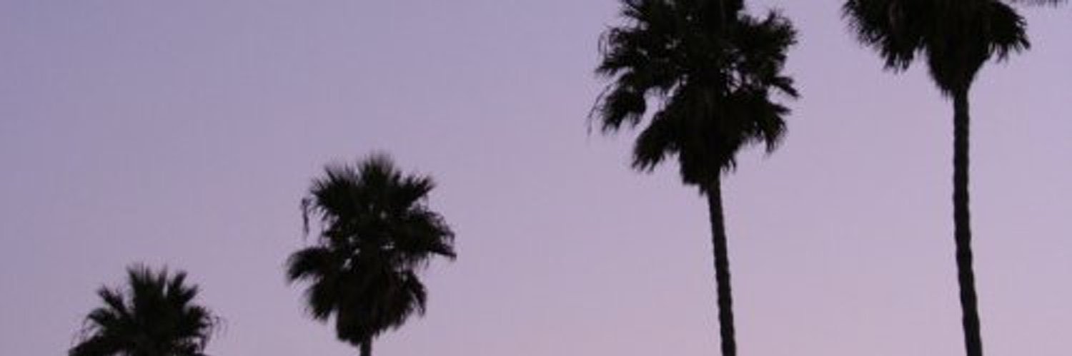 chillregina's profile banner image