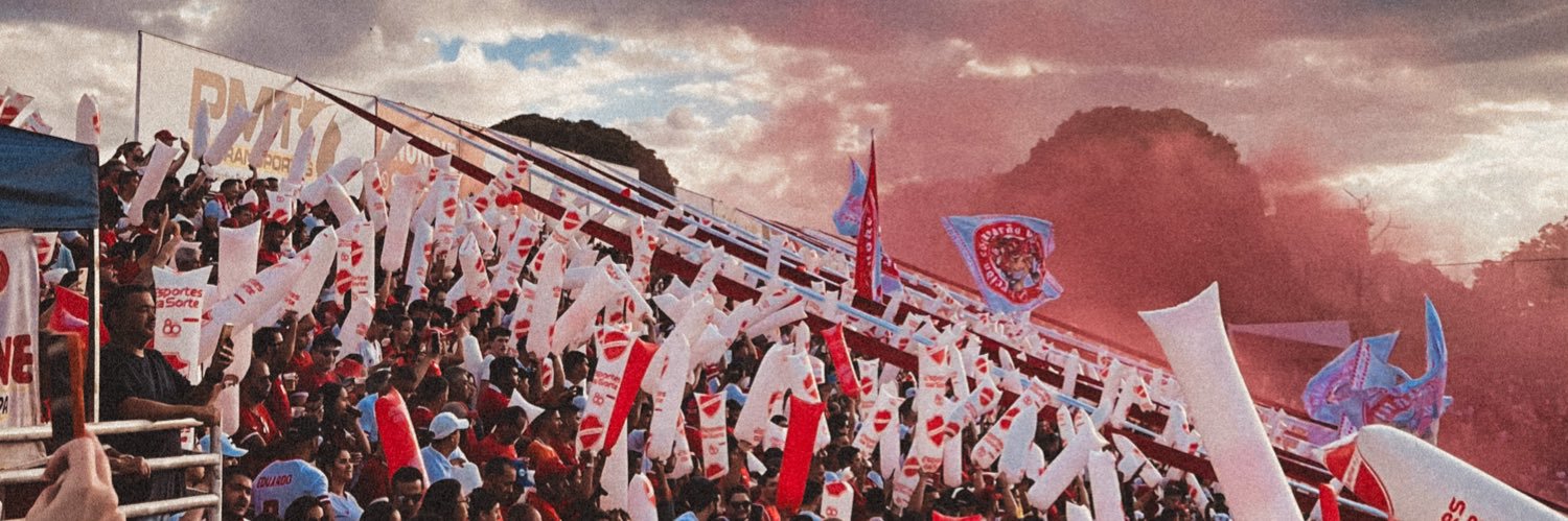 Arianny Santos banner