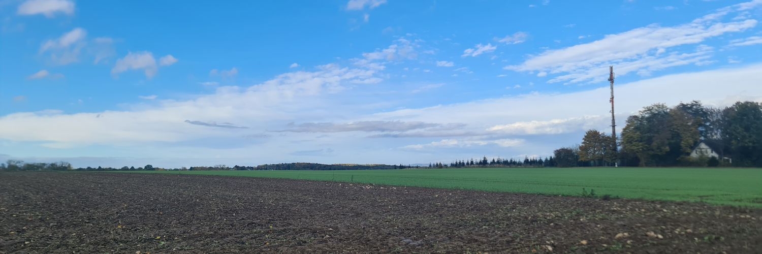 Reya🇩🇪 banner