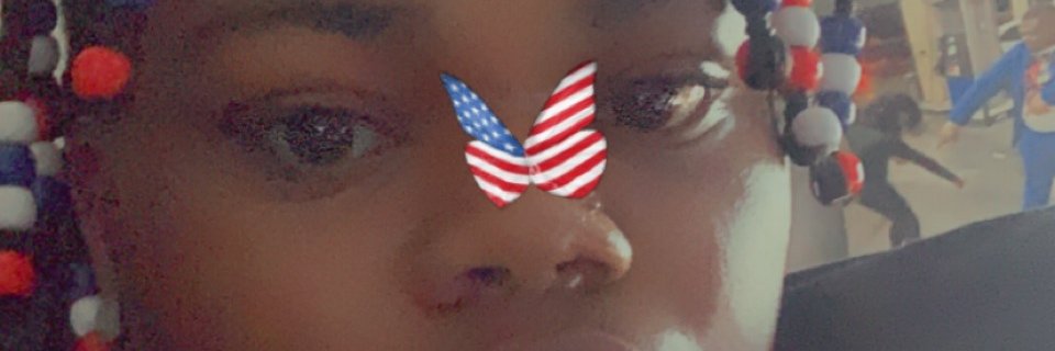 Taetae Bush banner