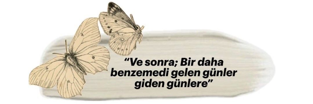 🦋 banner