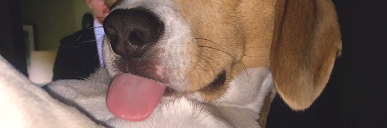 theob077's profile banner image