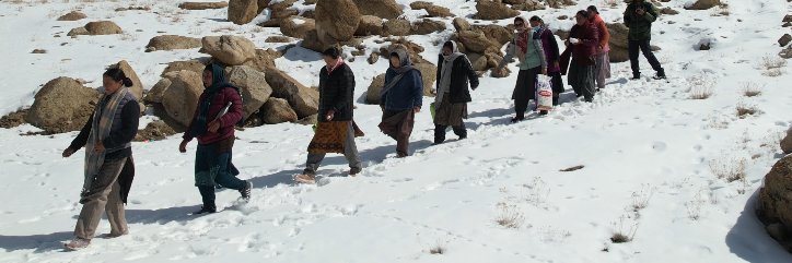 Bindi International banner