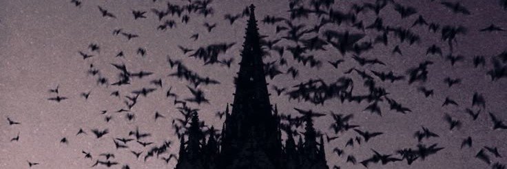 Dlnative99's profile banner image
