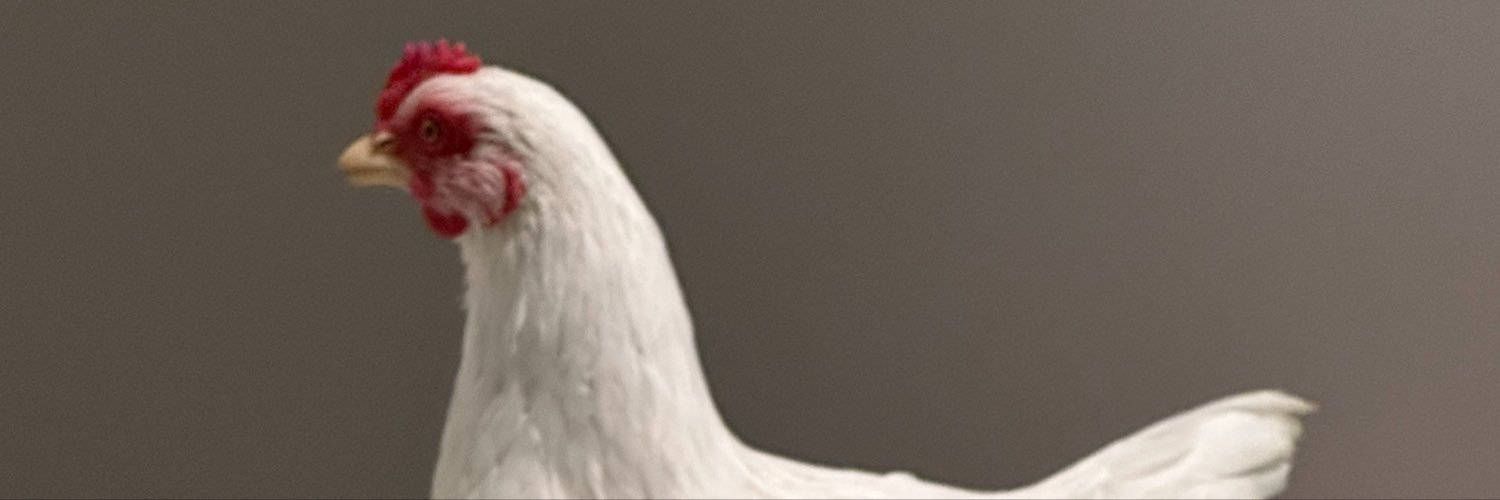 tarutaruevi's profile banner image