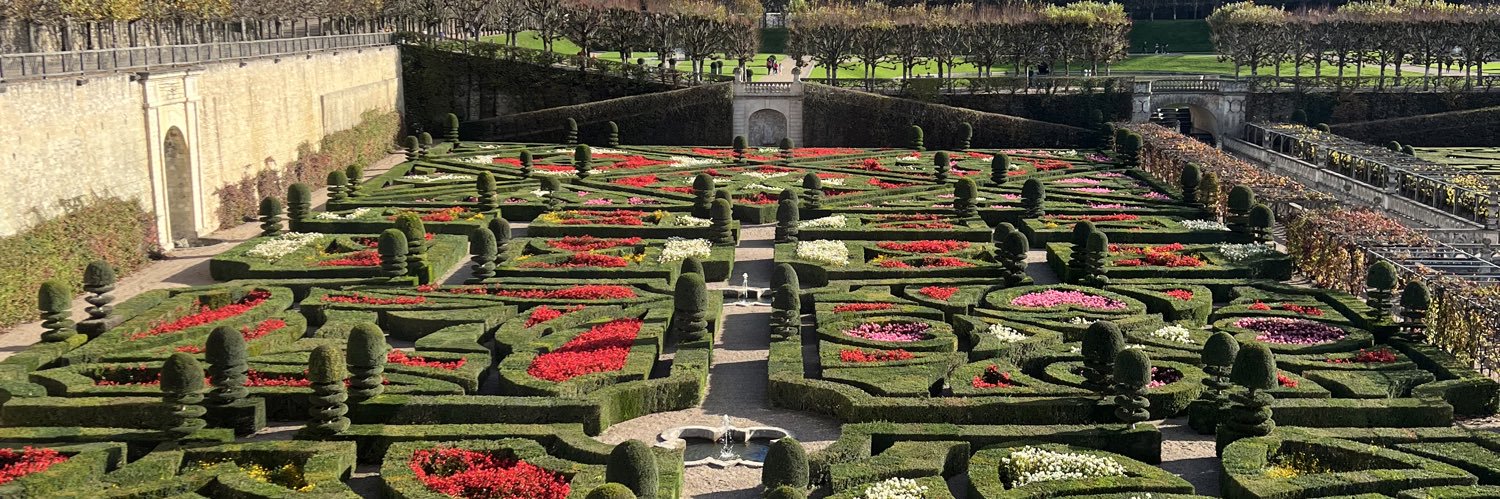 Christina Woods💜🤍💚 🇺🇸 🇦🇺 banner